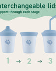 Straw Cup | Developmental Straw Drinking Cup for Toddlers