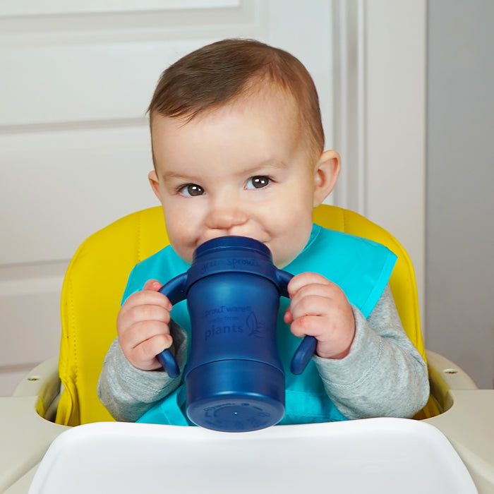 Sippy Spouts for Bottles and Cups (2 pack)